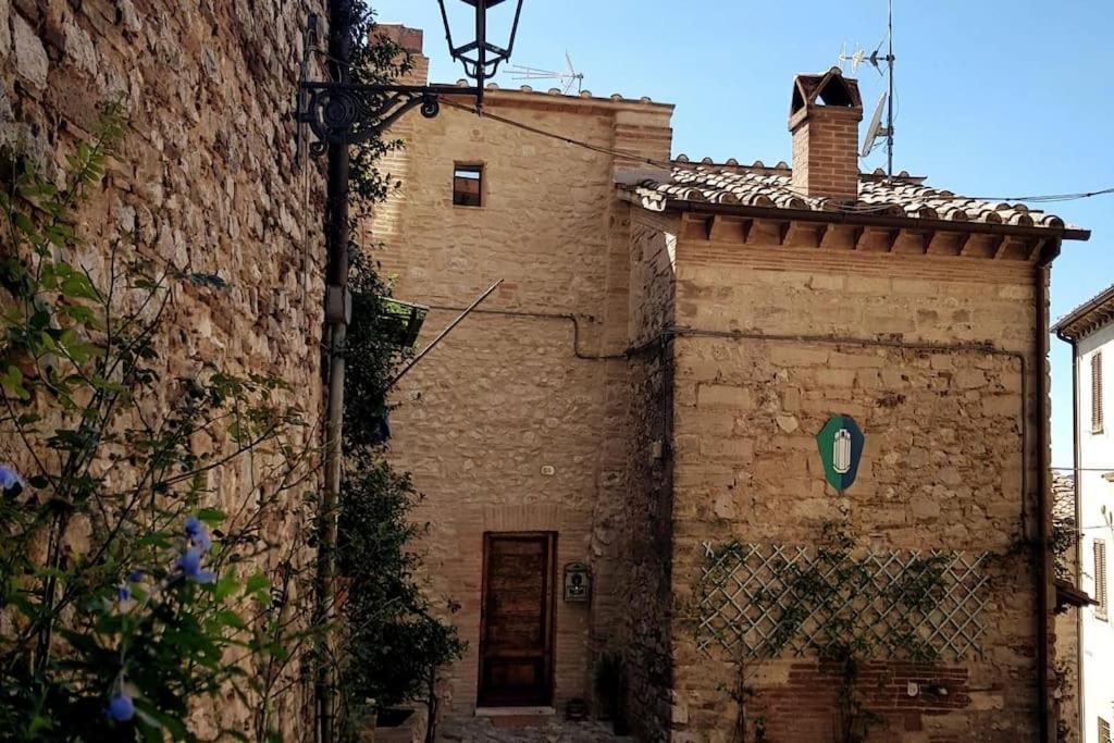 *La Torre Di Amelia* Nel Cuore Dell' Umbria Экстерьер фото